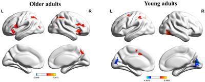 Exploring the relationship between physical activity and cognitive function: an fMRI pilot study in young and older adults